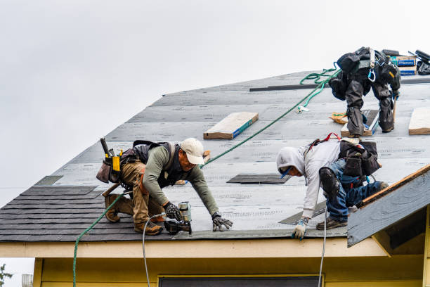 Professional Roofing technician working in Pierpont, OH